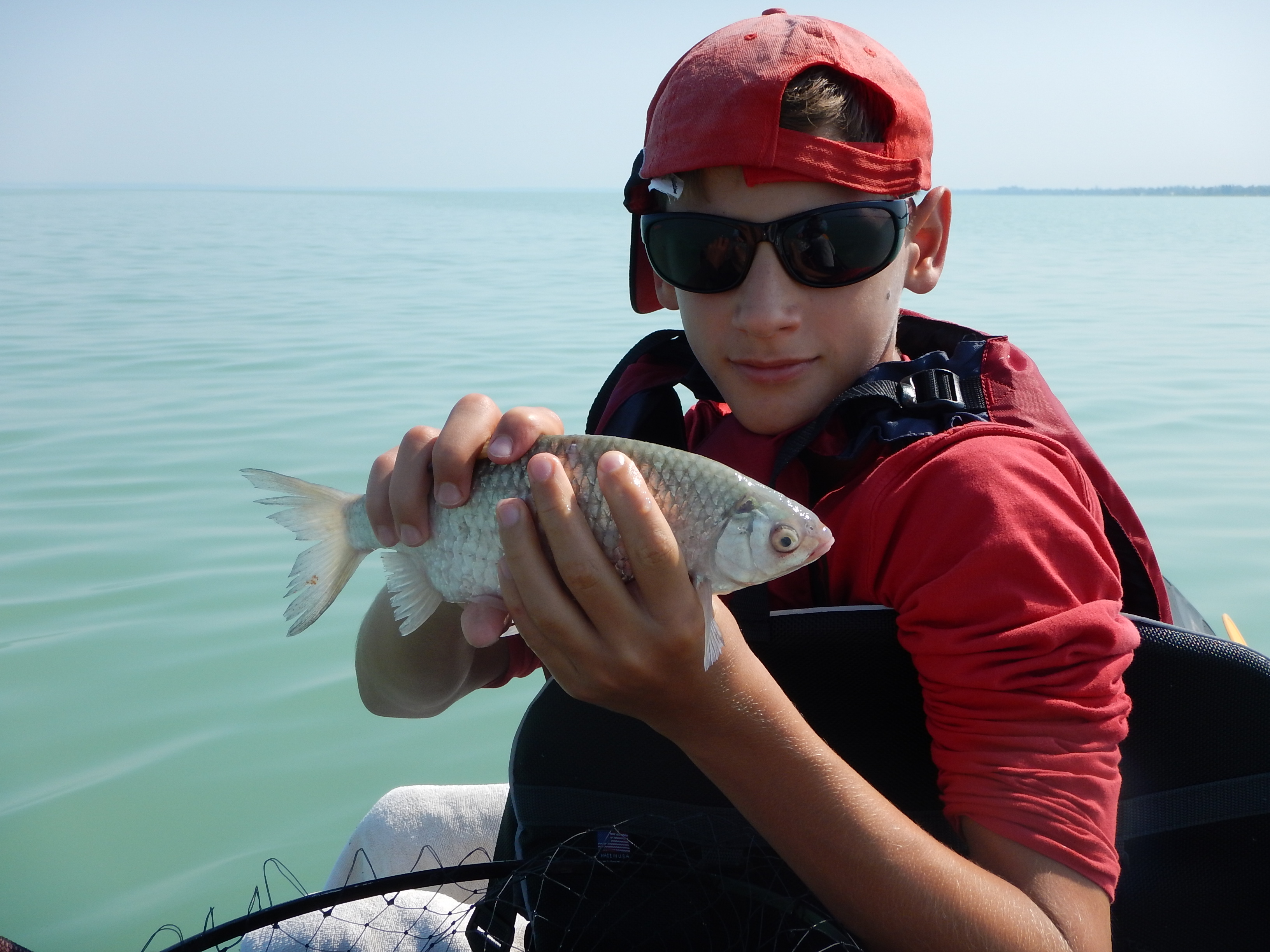 A zsákmány, eg szép bodorka a Balatonból